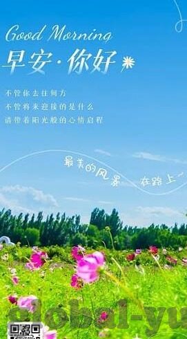 竟彩足球比分直-竟彩足球比分直，透视绿茵场上的数字密码与投注智慧