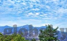 mk体育在线官网首页电脑版-MK体在线官网首页电脑版，开启全方位体育娱乐体验的新篇章