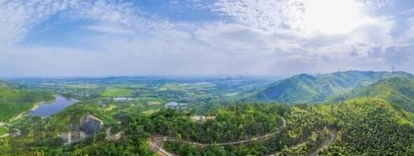 世界杯的足球叫什么-世界杯的足球，历史、设计与技术革新