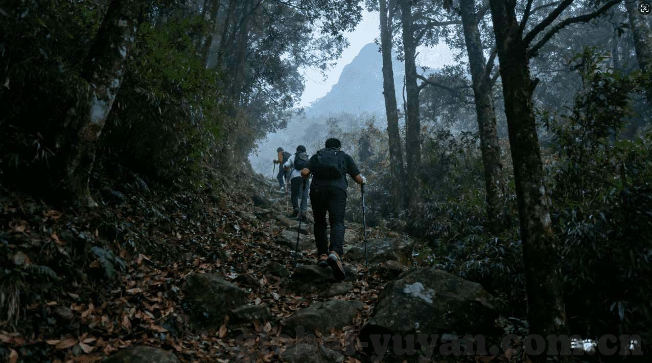 银河娱乐场网址-探索银河娱乐场网址的奥秘，一场数字时代的娱乐盛宴